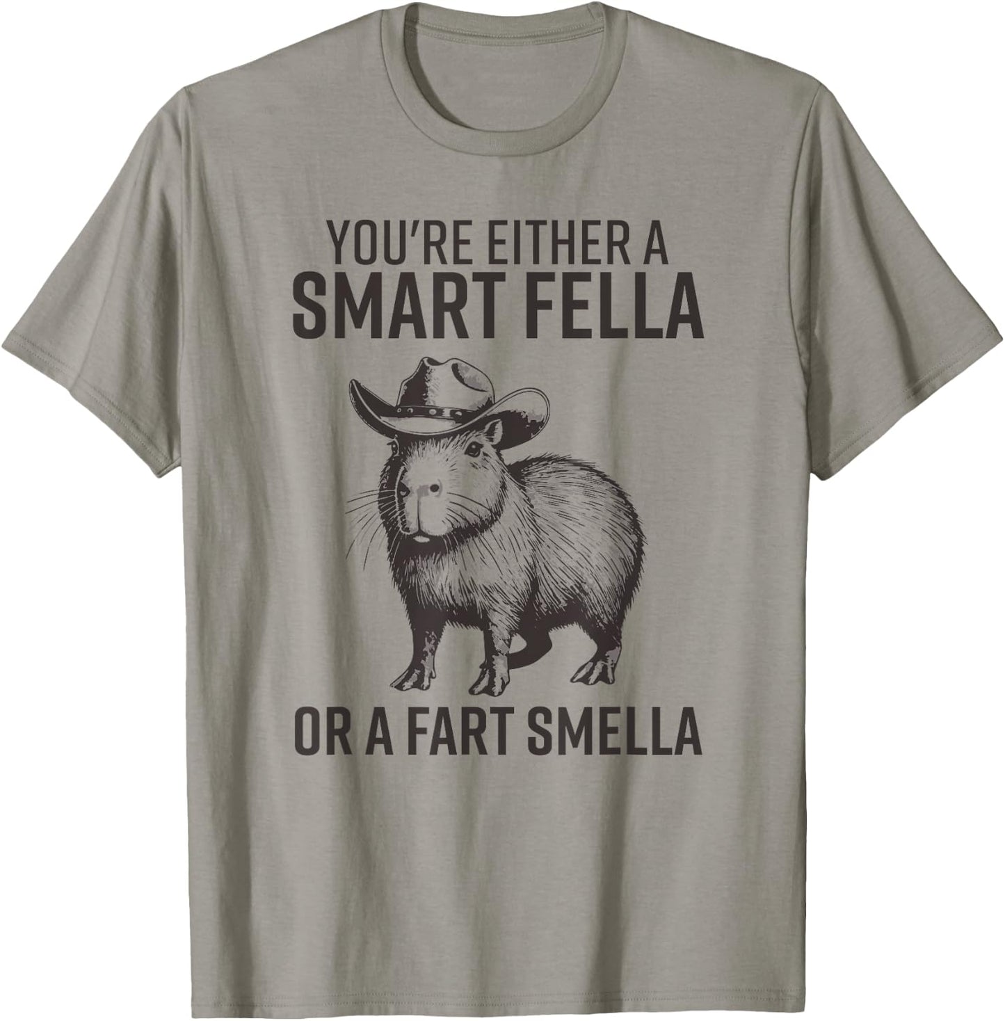You're Either A Smart Fella Or A Fart Smella Funny Capybara T-Shirt - T-Shirt | Sand