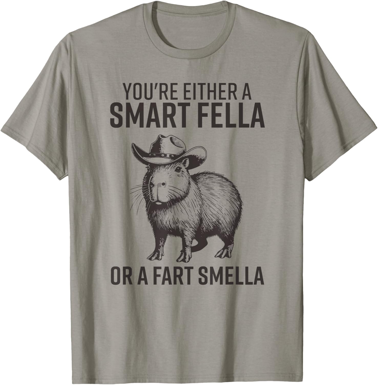 You're Either A Smart Fella Or A Fart Smella Funny Capybara T-Shirt - T-Shirt | Sand