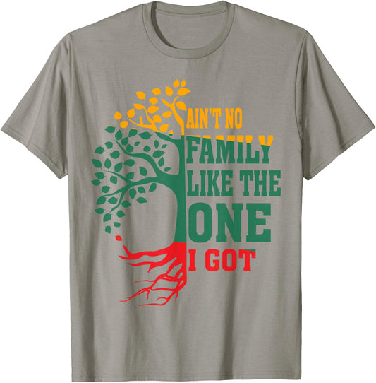 Ain't No Family Like The One I Got Funny Family Reunion 2024 T-Shirt - T-Shirt | Sand