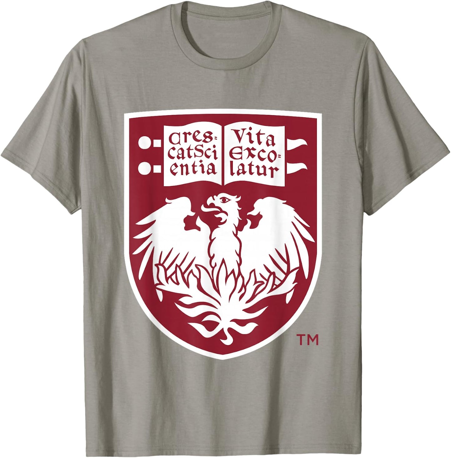 Chicago Maroons Icon Gray Officially Licensed T-Shirt - T-Shirt | Sand
