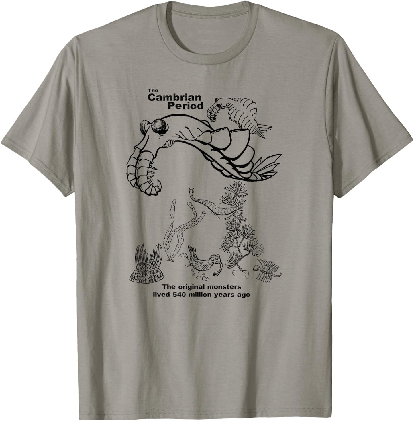Cambrian Period T-Shirt - T-Shirt | Sand