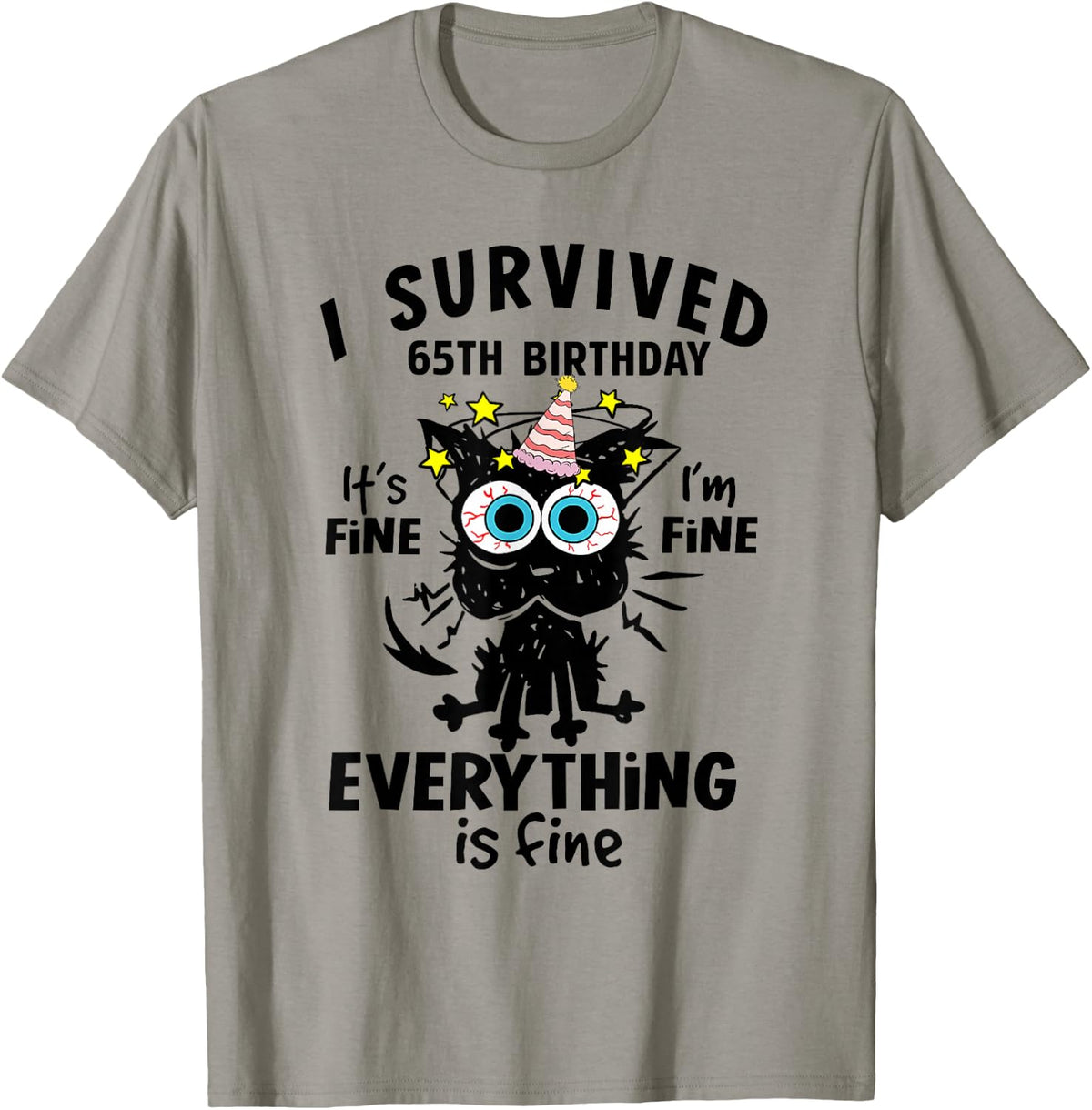 I Survived 65th Birthday Cat Lover 65 Years B-day Party Funn T-Shirt - T-Shirt | Sand