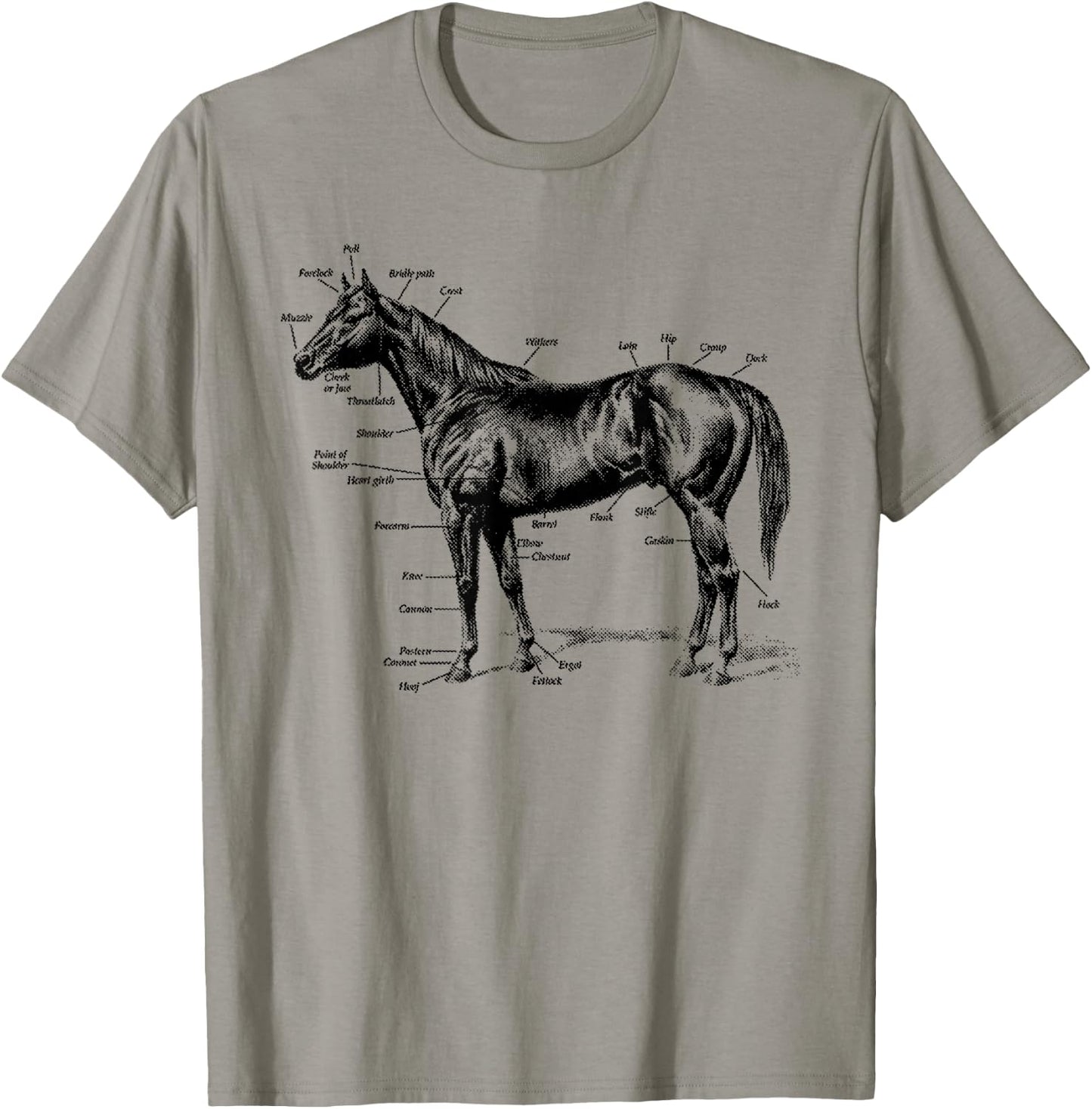 Big Texas Anatomy of a Horse T-Shirt - T-Shirt | Sand