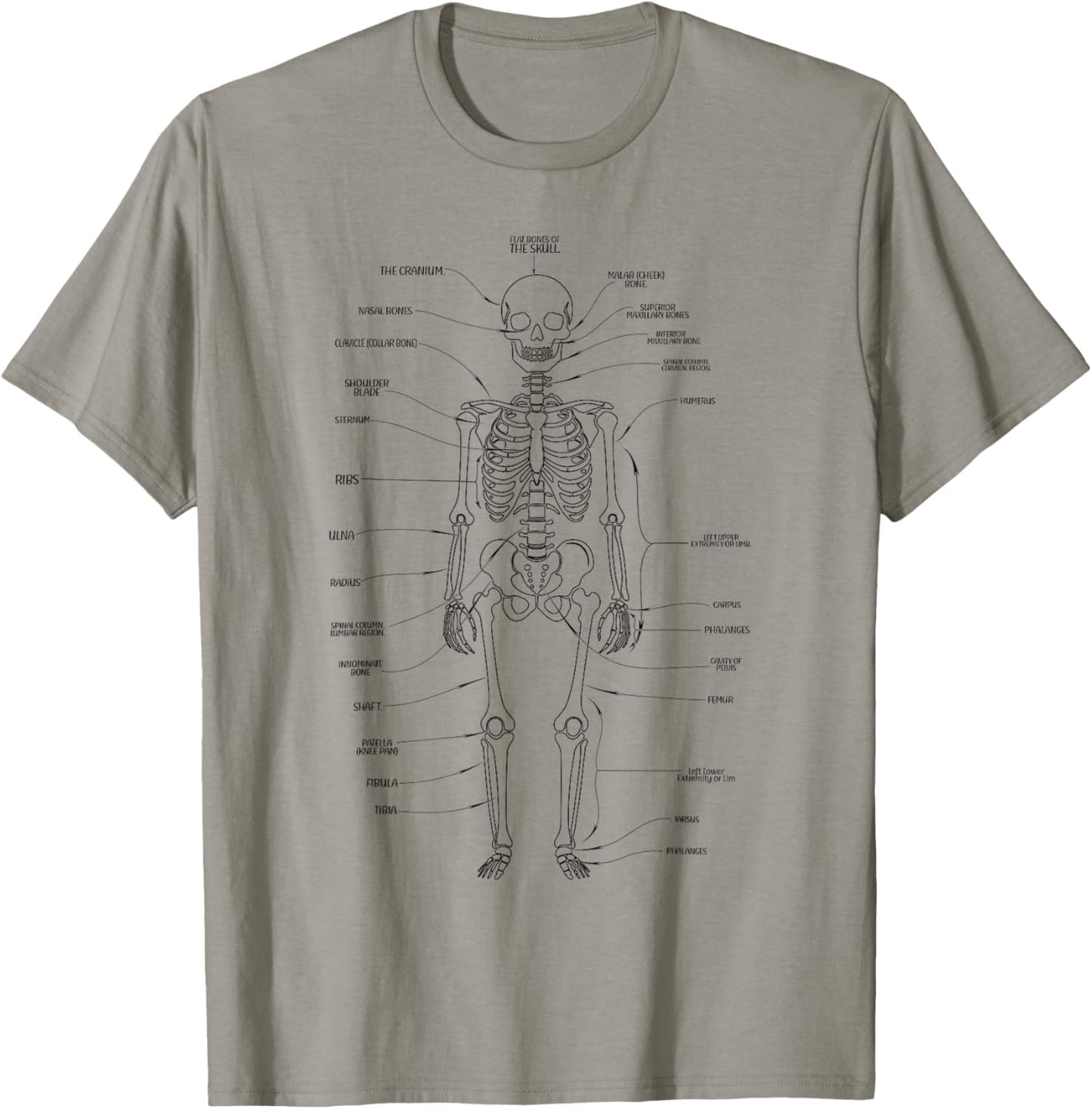 Human body anatomy science teachers students T-Shirt - T-Shirt | Sand