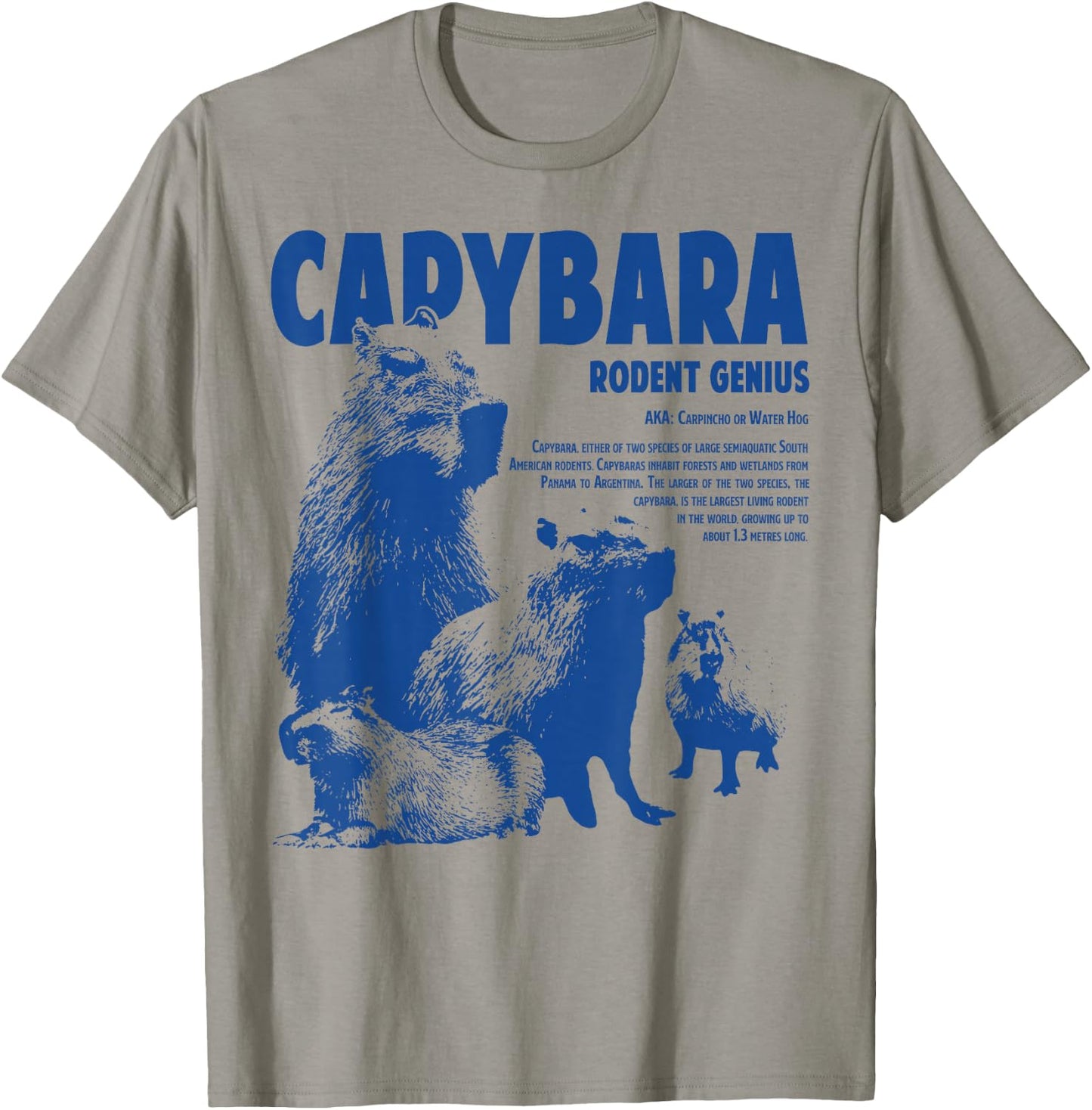 Capybara Rodent Genius Funny Information For Capybara Lover T-Shirt - T-Shirt | Sand