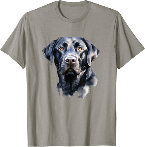 Dog Black Labrador Retriever