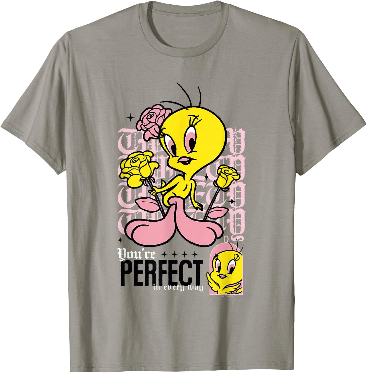 Looney Tunes Tweety Bird You're Perfect in Every Way Retro T-Shirt - T-Shirt | Sand