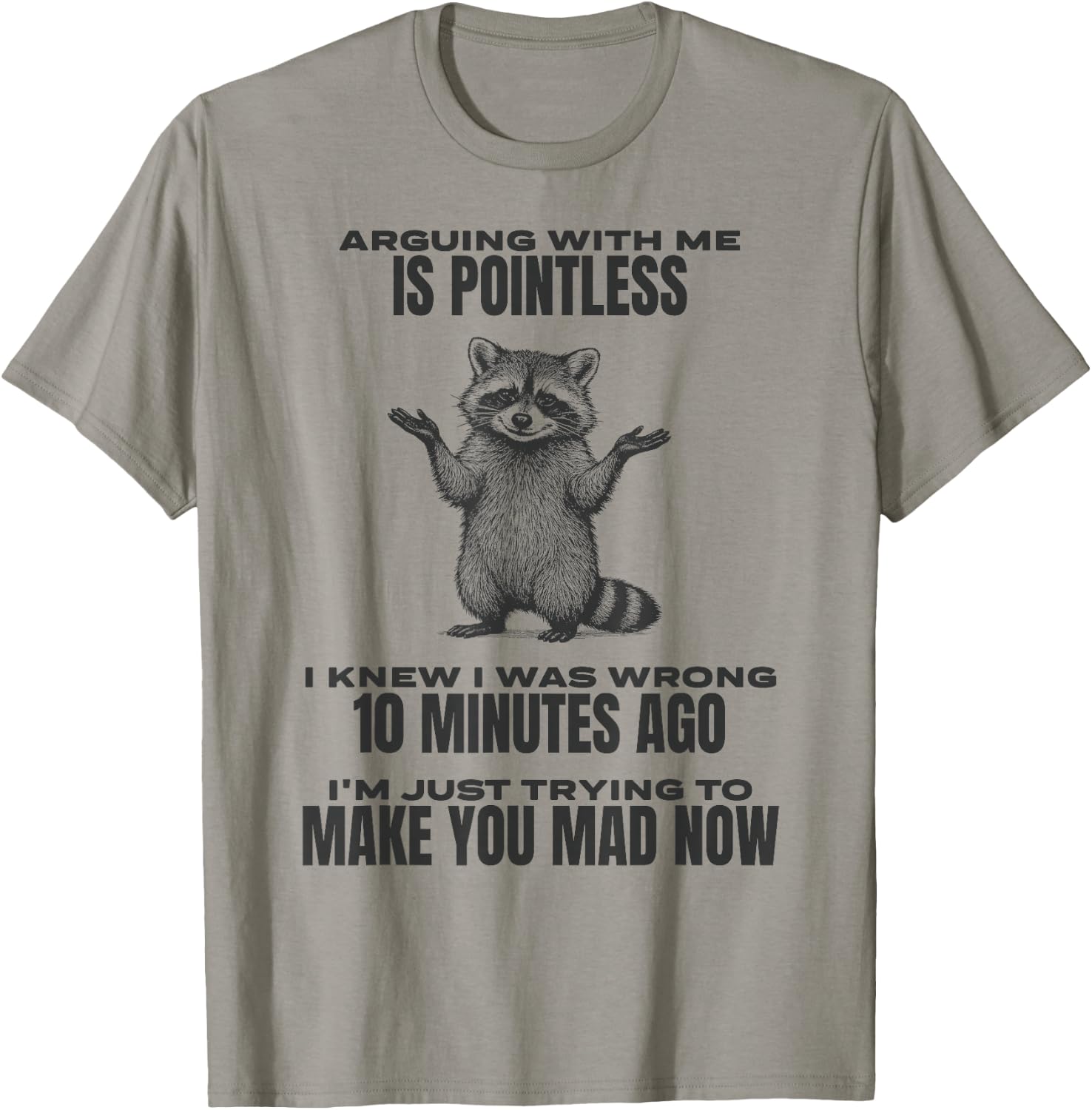 Arguing With Me Is Pointless Raccoon Funny Sarcastic Meme T-Shirt - T-Shirt | Sand