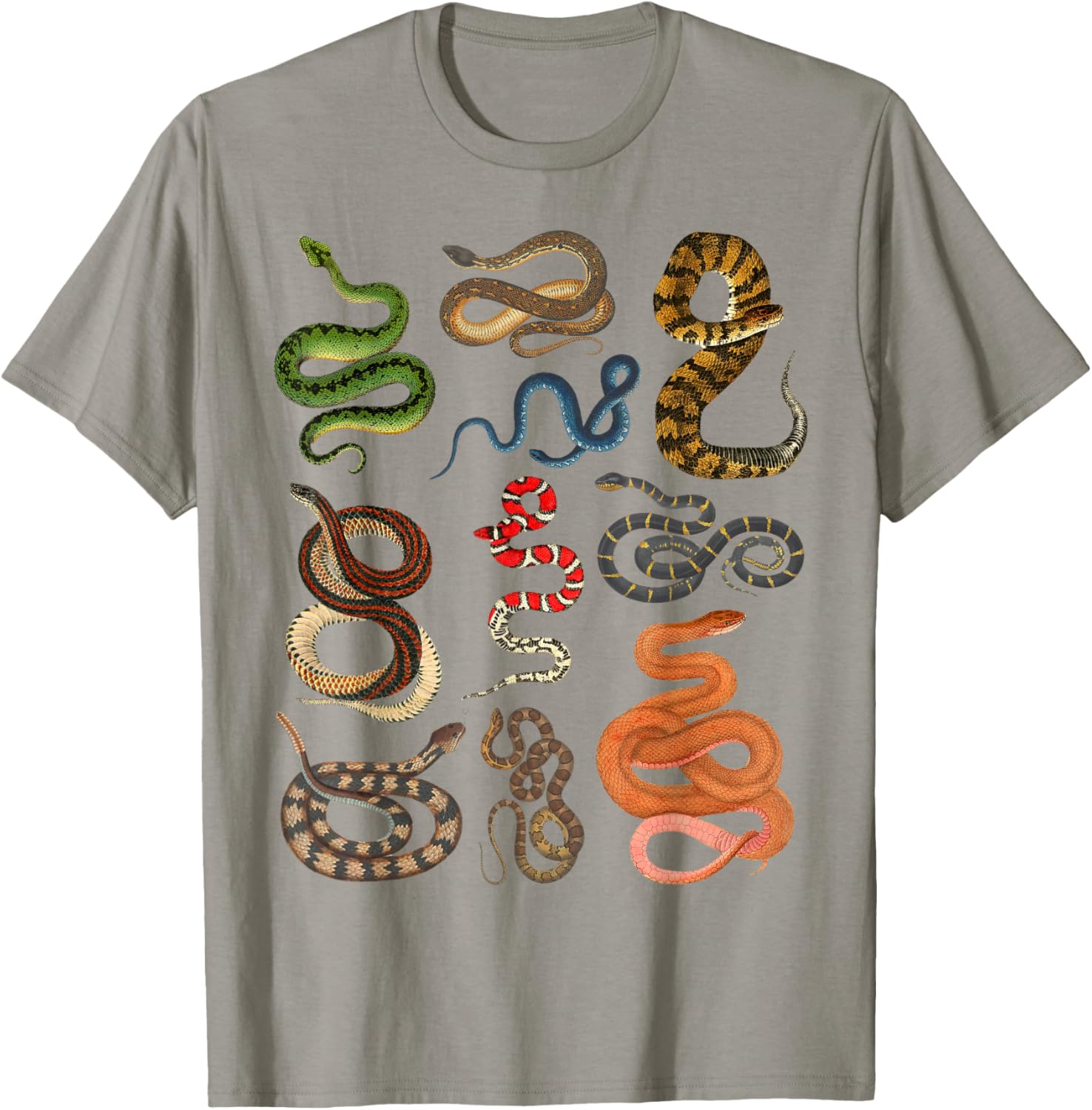 Types Of Snakes Educational Herpetologist Kids Boys Girls T-Shirt - T-Shirt | Sand