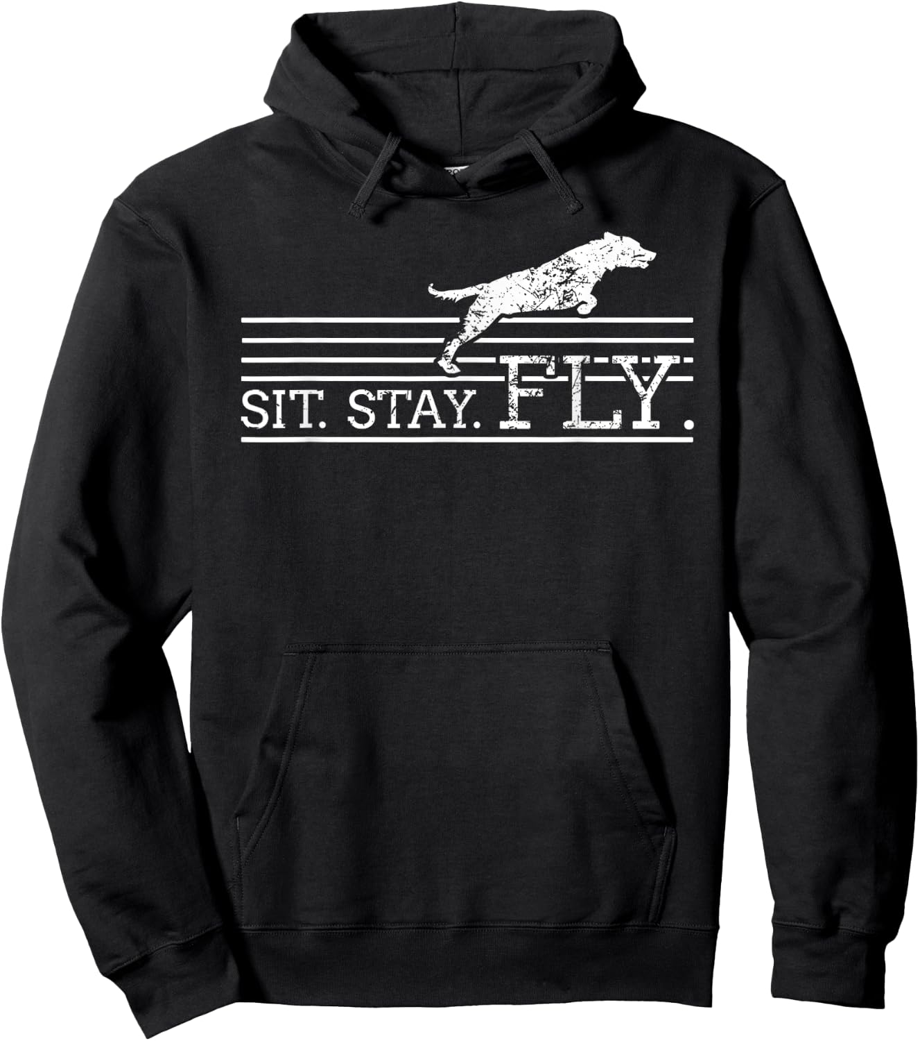 Labrador Retriever Sit Dock Diving Dog Breeder Pet Gift Men Women Hoodie - Hoodie | Black