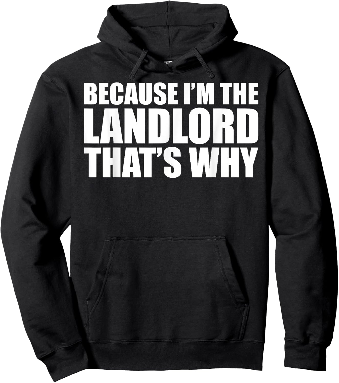 Housewarming Homeowner Because I'm The Landlord That's Why Hoodie - Hoodie | Black
