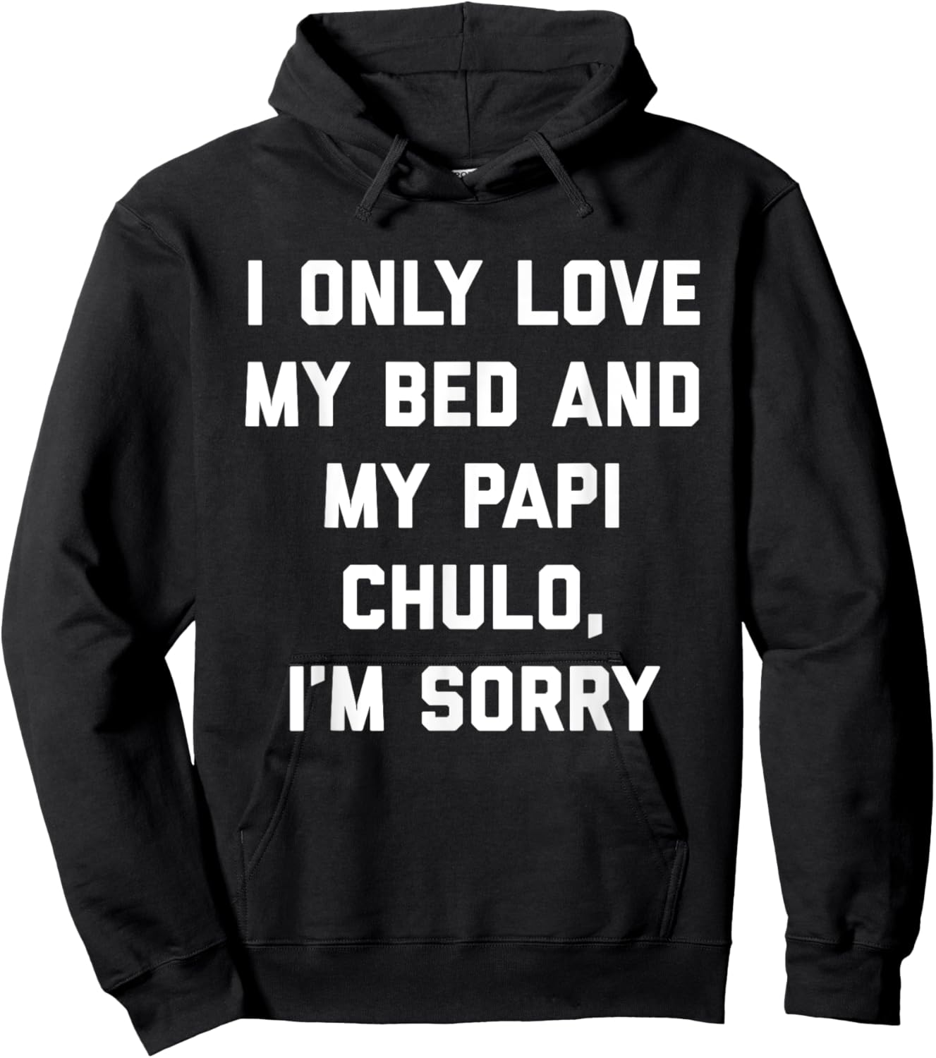 I Only Love My Bed and My Papi Chulo, I'm Sorry T Shirt Hoodie - Hoodie | Black