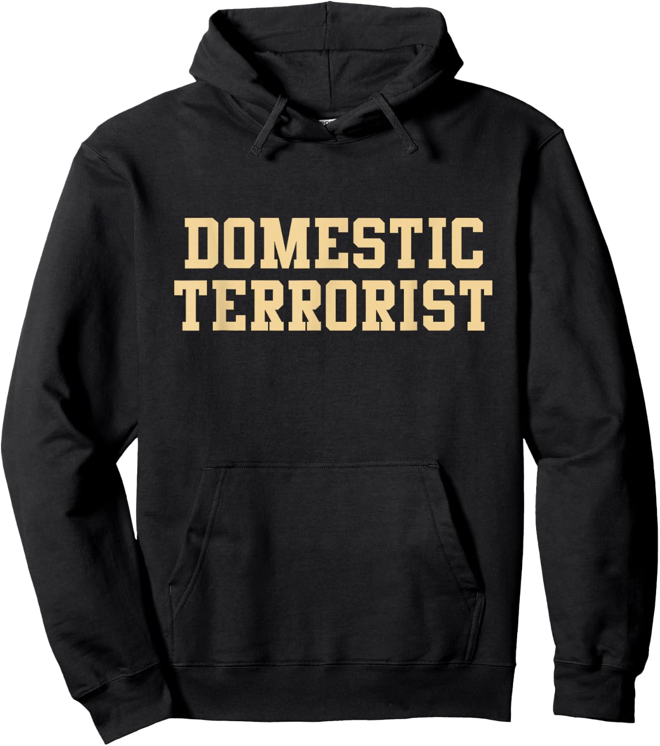 Domestic Terrorist Hoodie - Hoodie | Black