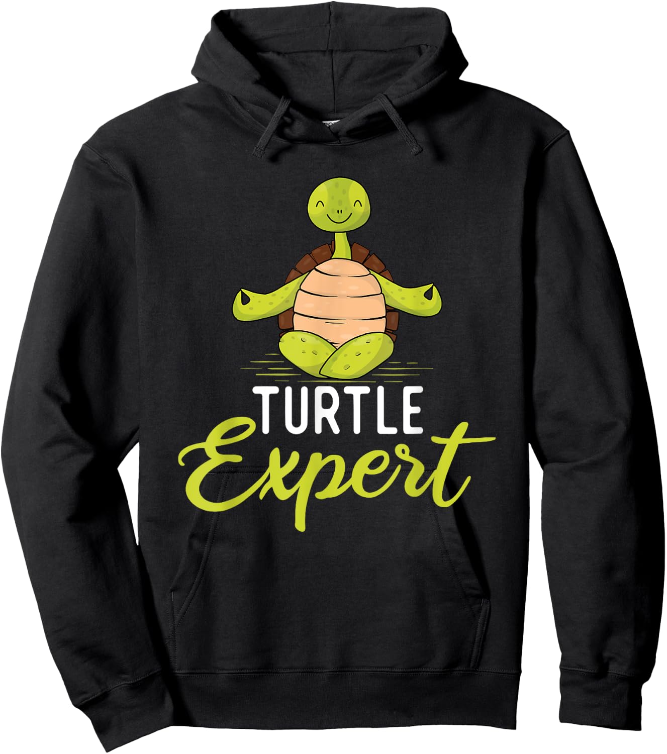 Turtle Expert - Cute Tortoise Beach Sea Turtle Lover Beach Men Women Girls Kids Hoodie - Hoodie | Black