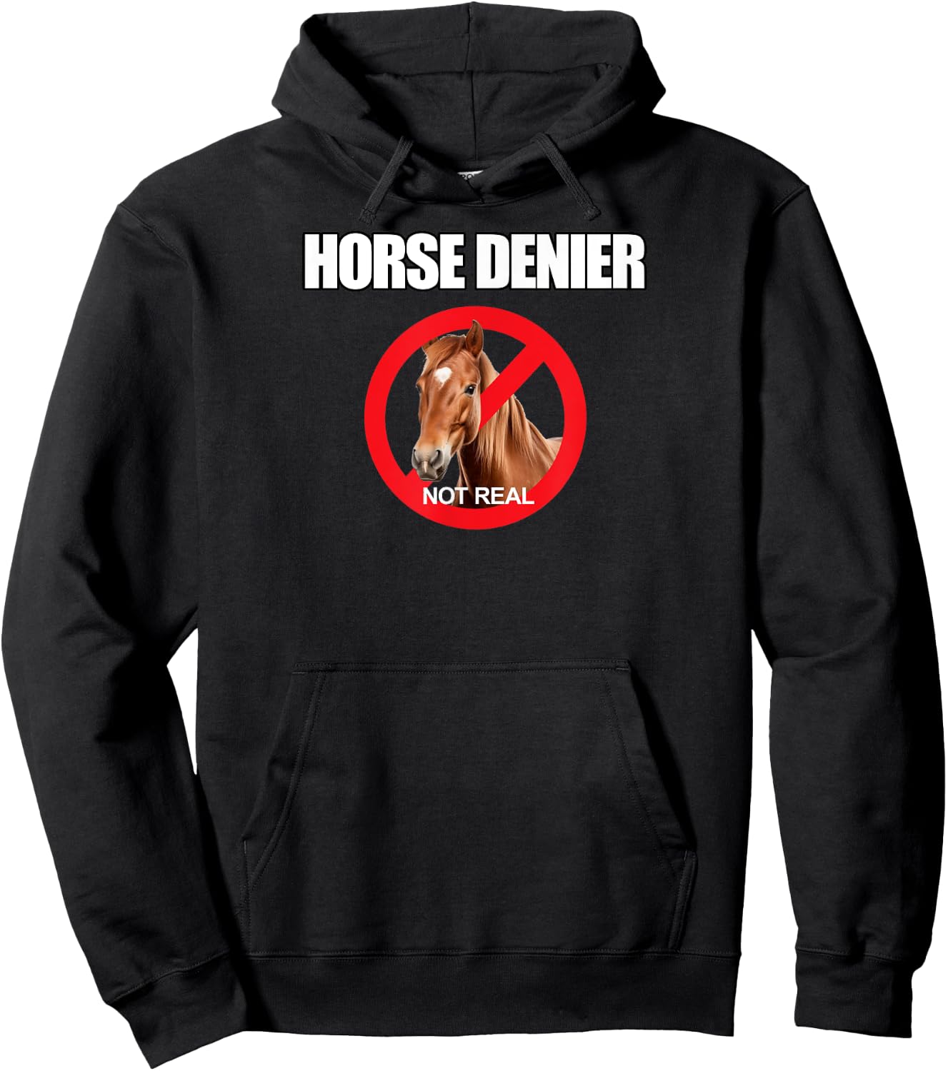 Horse Denier Funny Horses Are Not Real Classic Hoodie - Hoodie | Black