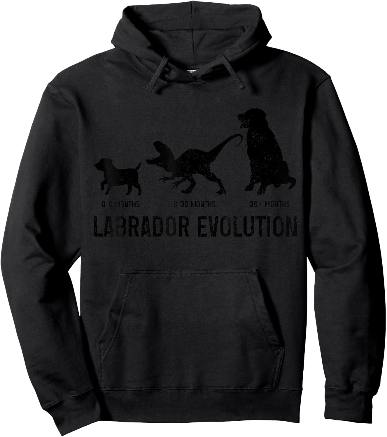 Labrador Evolution Funny Labrador Retriever Mom Dad Dog Hoodie - Hoodie | Black