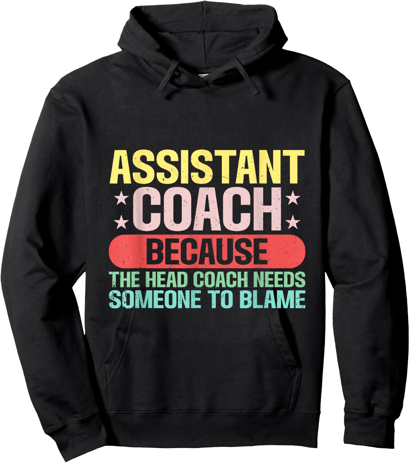 Assistant Coach The Head Coach Needs Someone To Blame Hoodie - Hoodie | Black