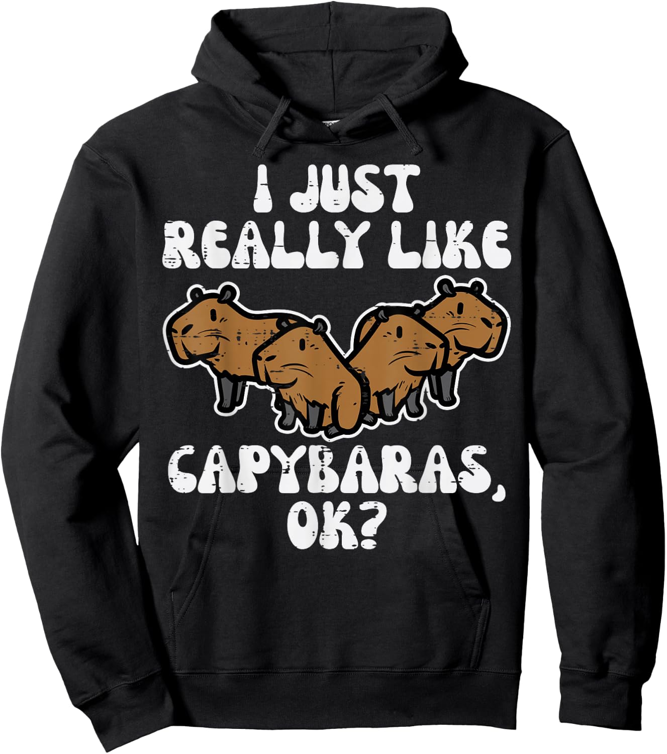 Just Really Like Capybaras Ok Capy Women Girls Kid Youth Men Hoodie - Hoodie | Black