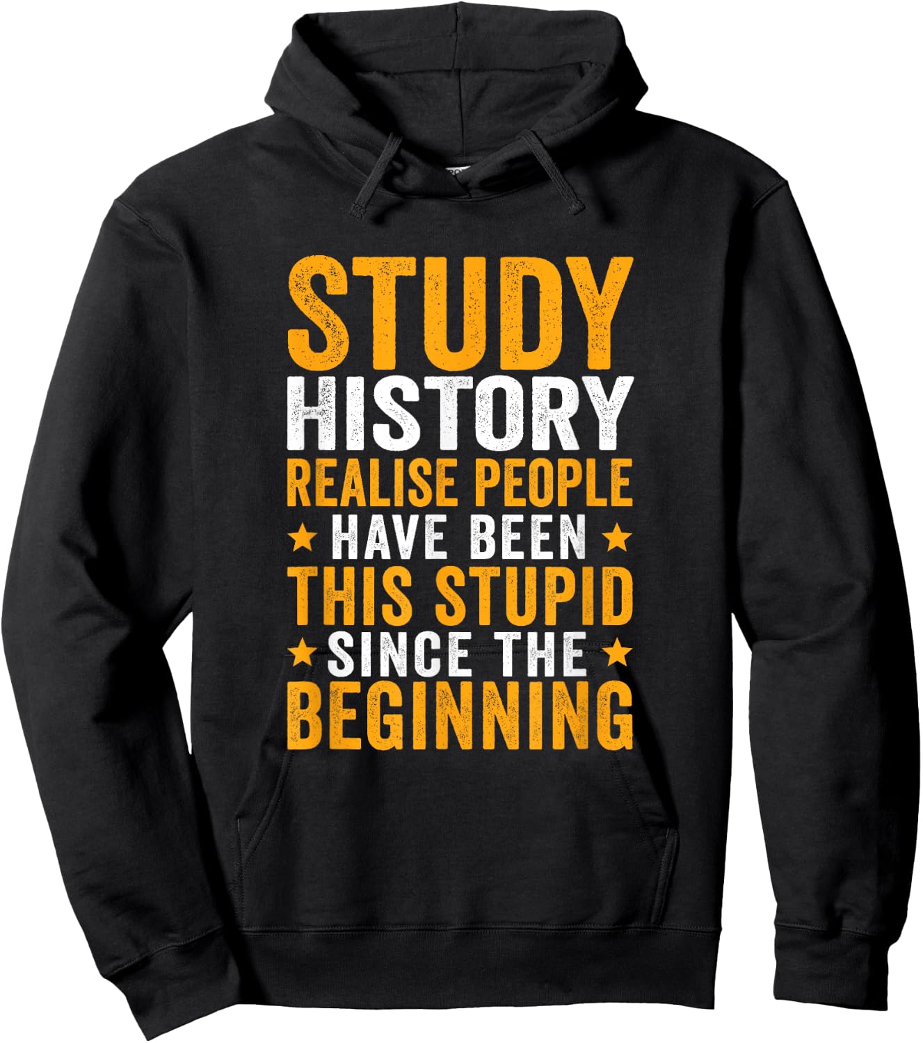 This Stupid Since The Beginning History Hoodie - Hoodie | Black