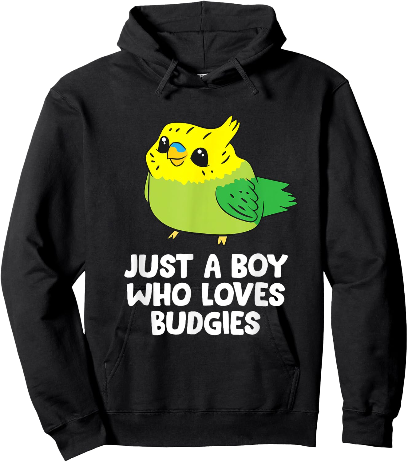 Parakeet Pet Son Just a Boy Who Loves Budgies Hoodie - Hoodie | Black