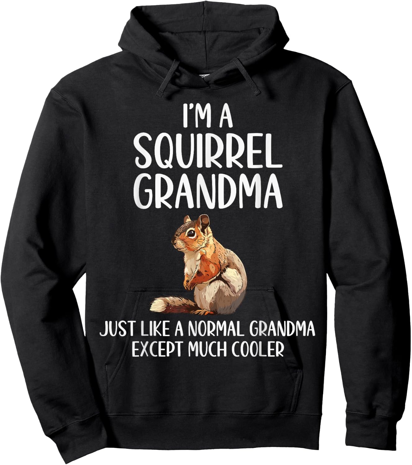 Squirrel Grandma Definition Squirrel Lover Mothers Day Hoodie - Hoodie | Black