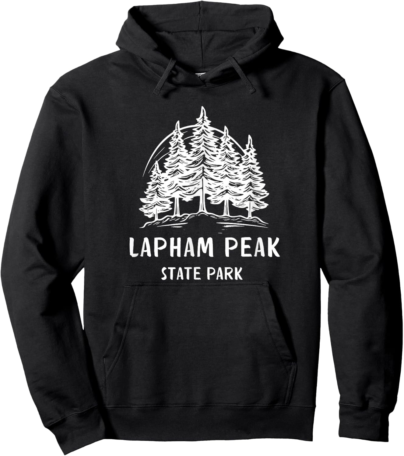 Lapham Peak Park Wisconsin Hoodie - Hoodie | Black