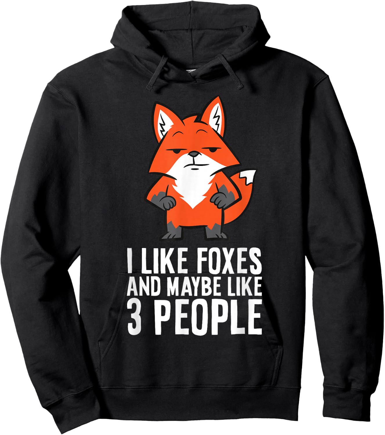 I Like Foxes And Maybe Like 3 People Fox Hoodie - Hoodie | Black