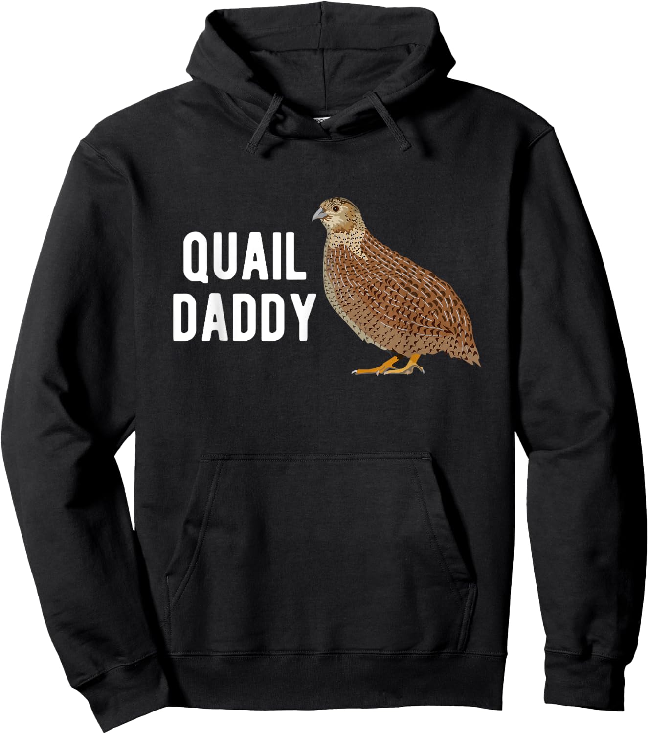 Quail Daddy Quail Owner Quail Boy Quail Lover Quails Hoodie - Hoodie | Black