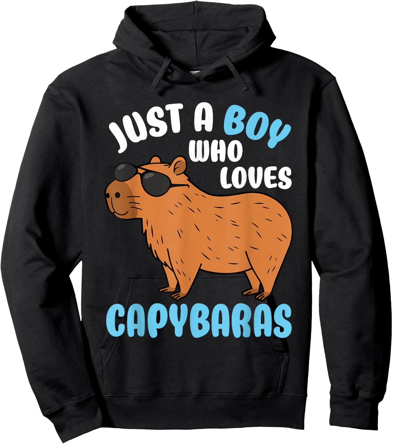 Just A Boy Who Loves Capybaras Rodent Capybara Lover Hoodie - Hoodie | Black