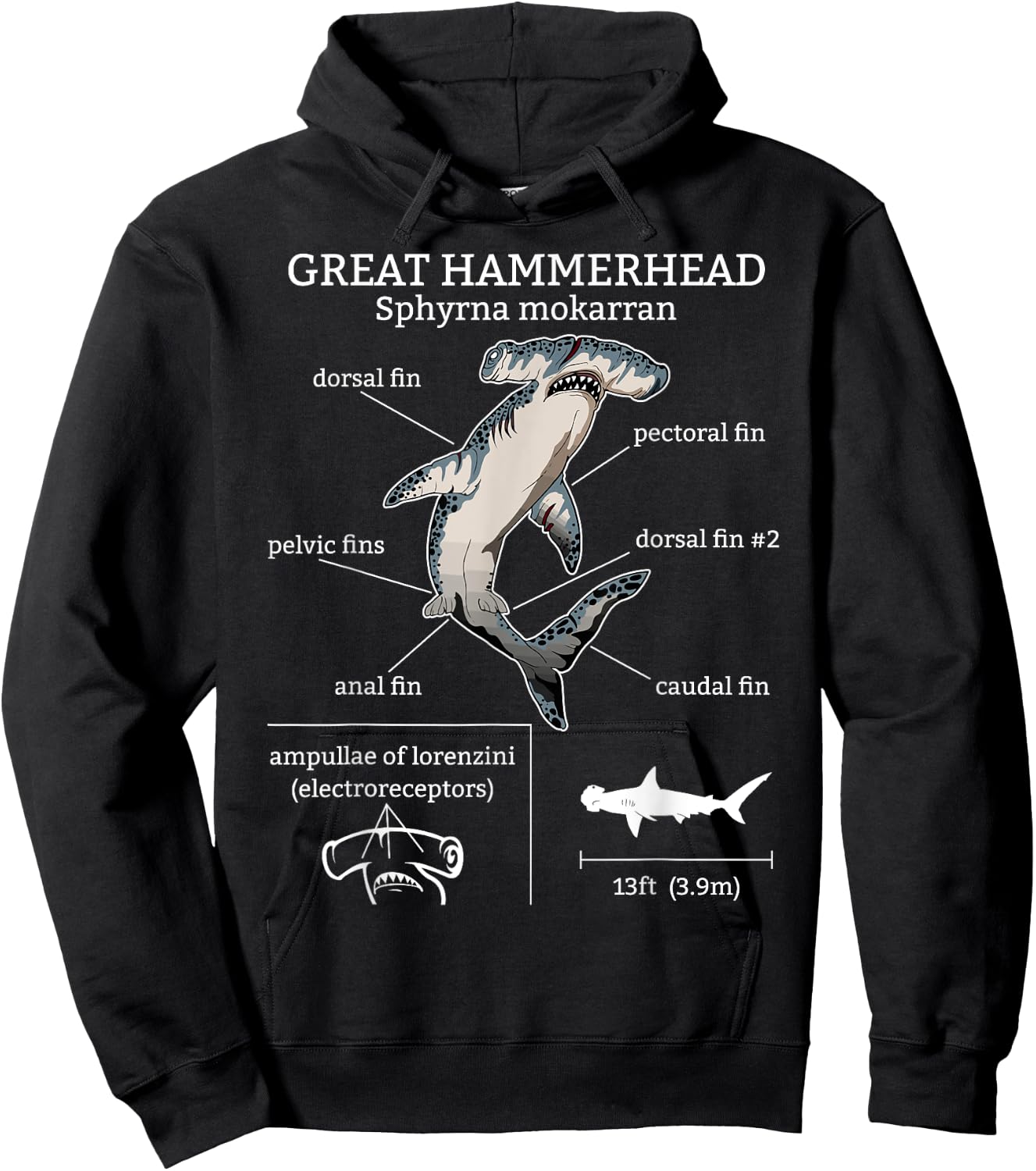 Great Hammerhead Shark Anatomy Ocean Animal Marine Biologist Hoodie - Hoodie | Black