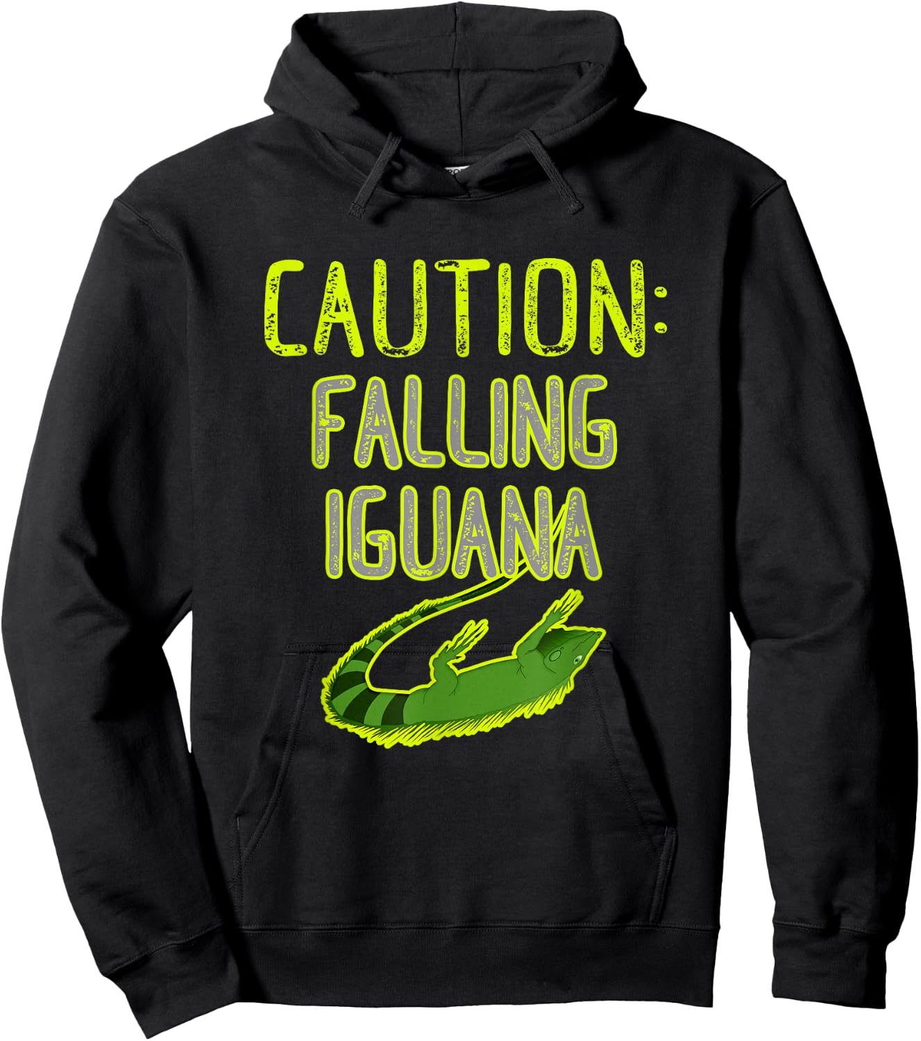 Falling Iguana Freeze Funny Florida Hoodie - Hoodie | Black