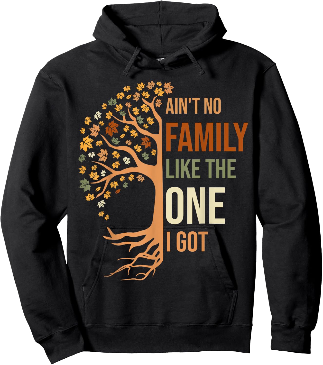 Ain't No Family Like The One I Got Funny Family Reunion Hoodie - Hoodie | Black
