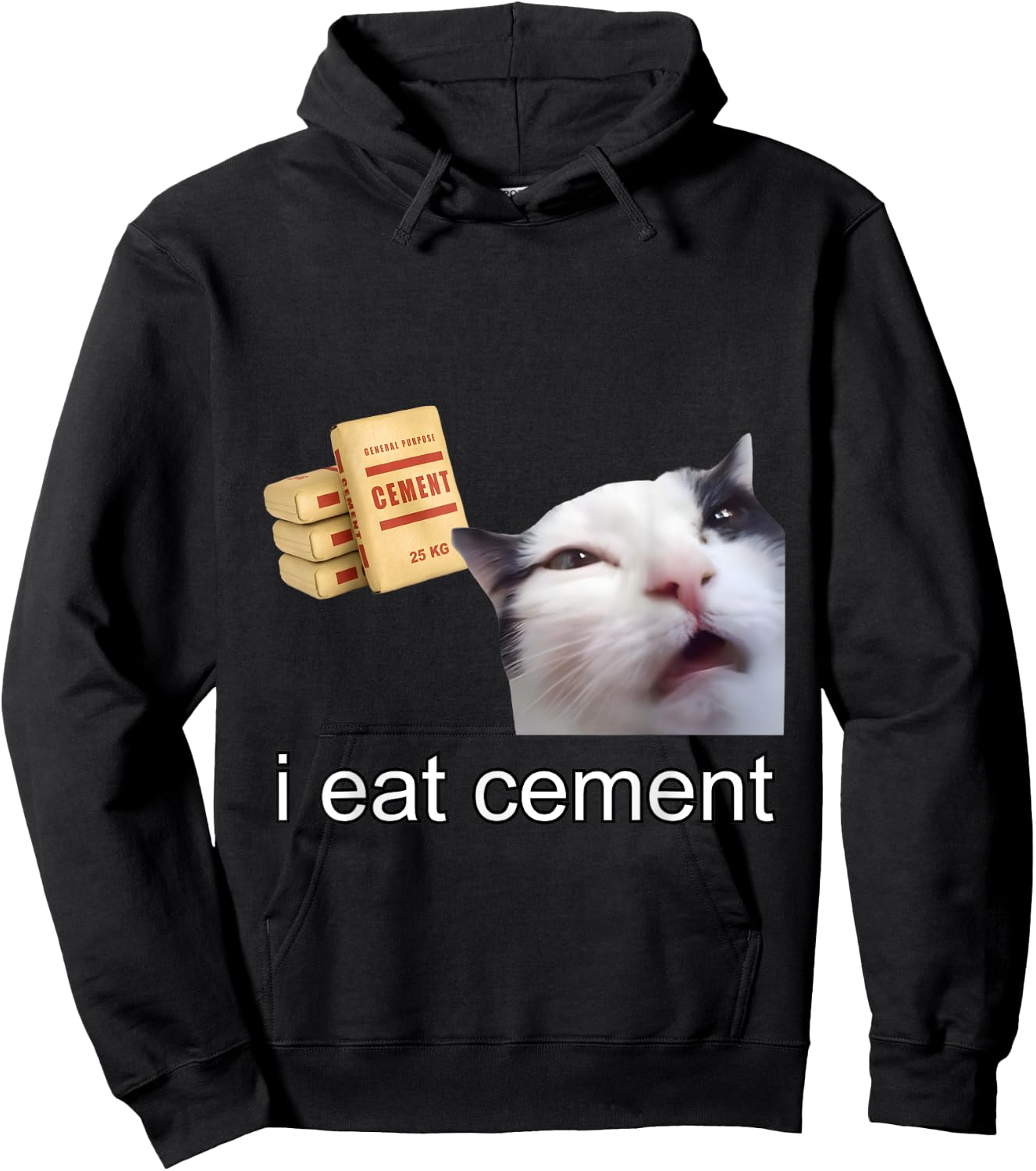 I Eat Cement Cursed Cat Funny Oddly Specific Meme Hoodie - Hoodie | Black