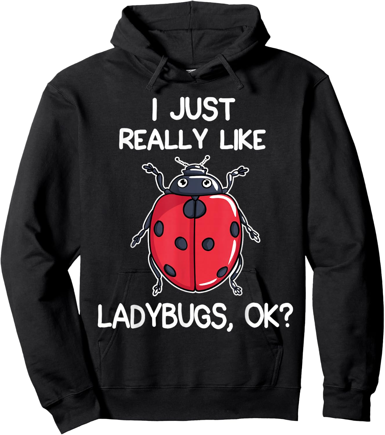 I Like Ladybird Lover Gift Hoodie - Hoodie | Black