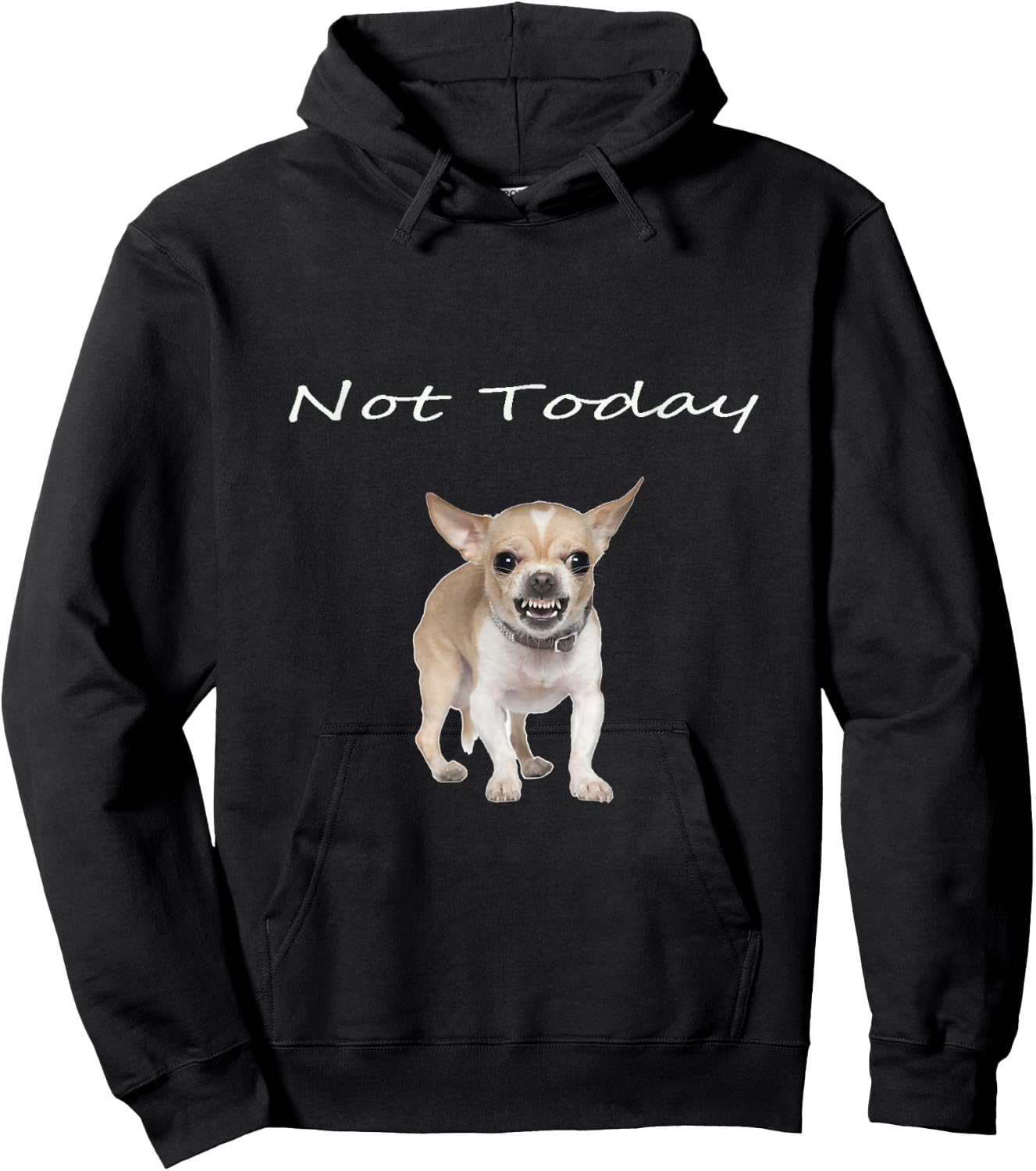 Chihuahua Not Today Snarling Teeth Showing Funny Dog Hoodie - Hoodie | Black