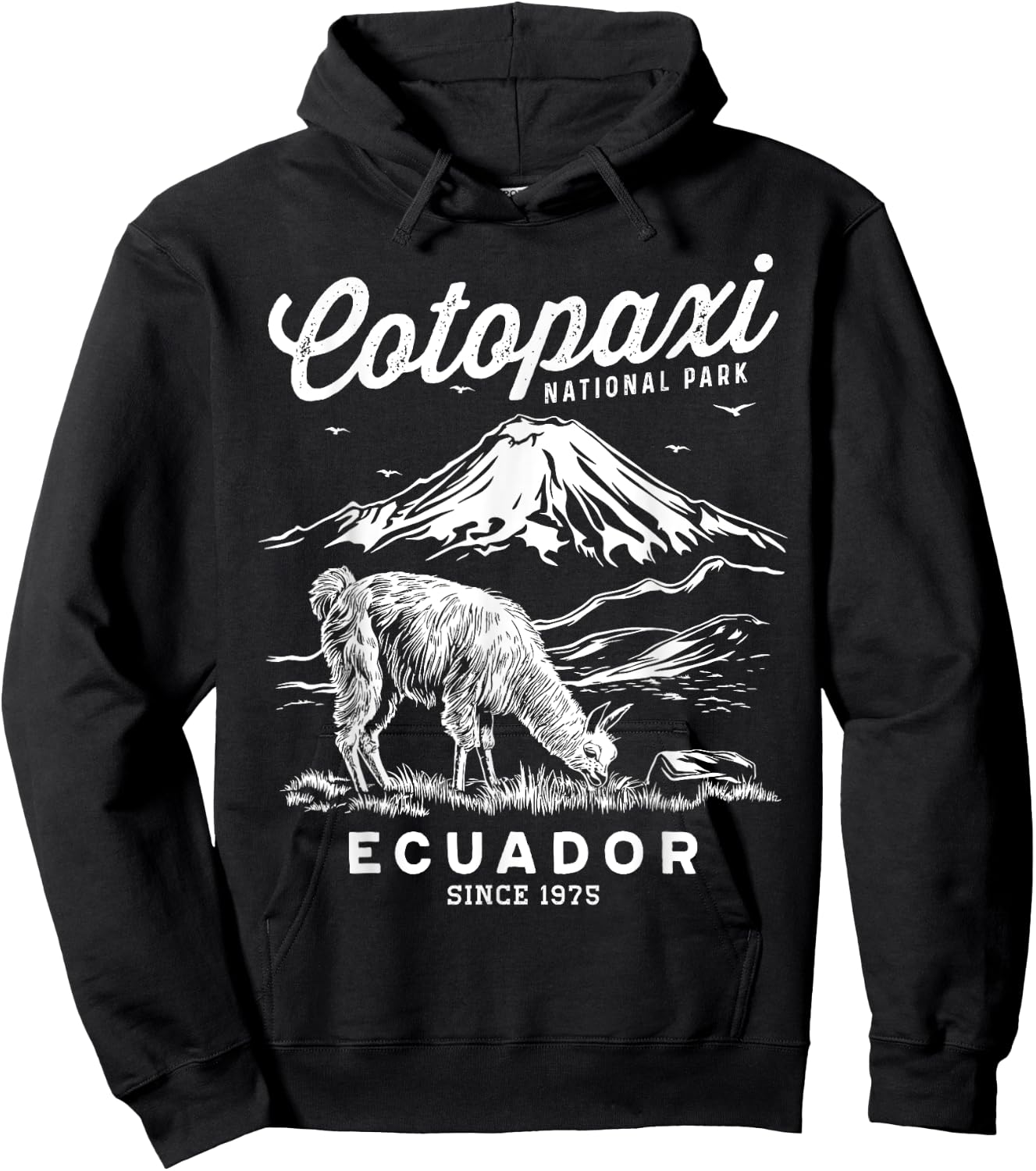 Ecuador Cotopaxi National Park Souvenir Alpaca Hike Hoodie - Hoodie | Black