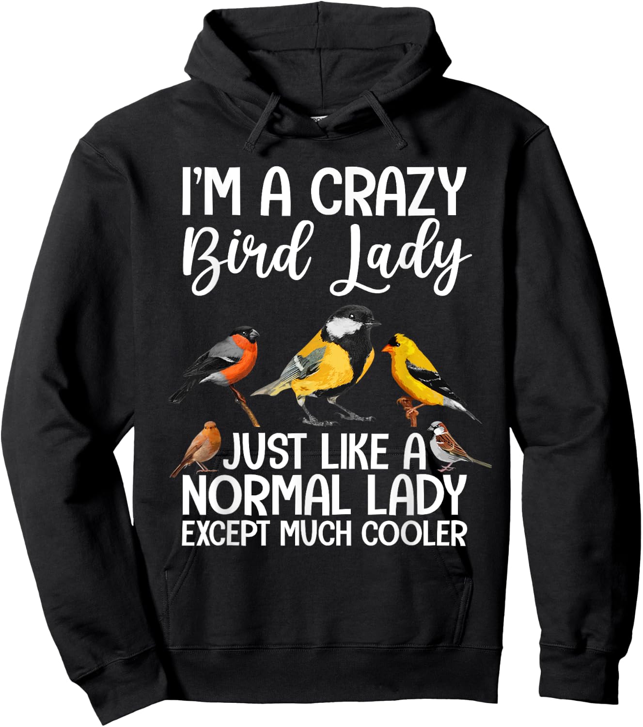 Funny Bird Lady Design Girls Birding Bird Lovers Hoodie - Hoodie | Black