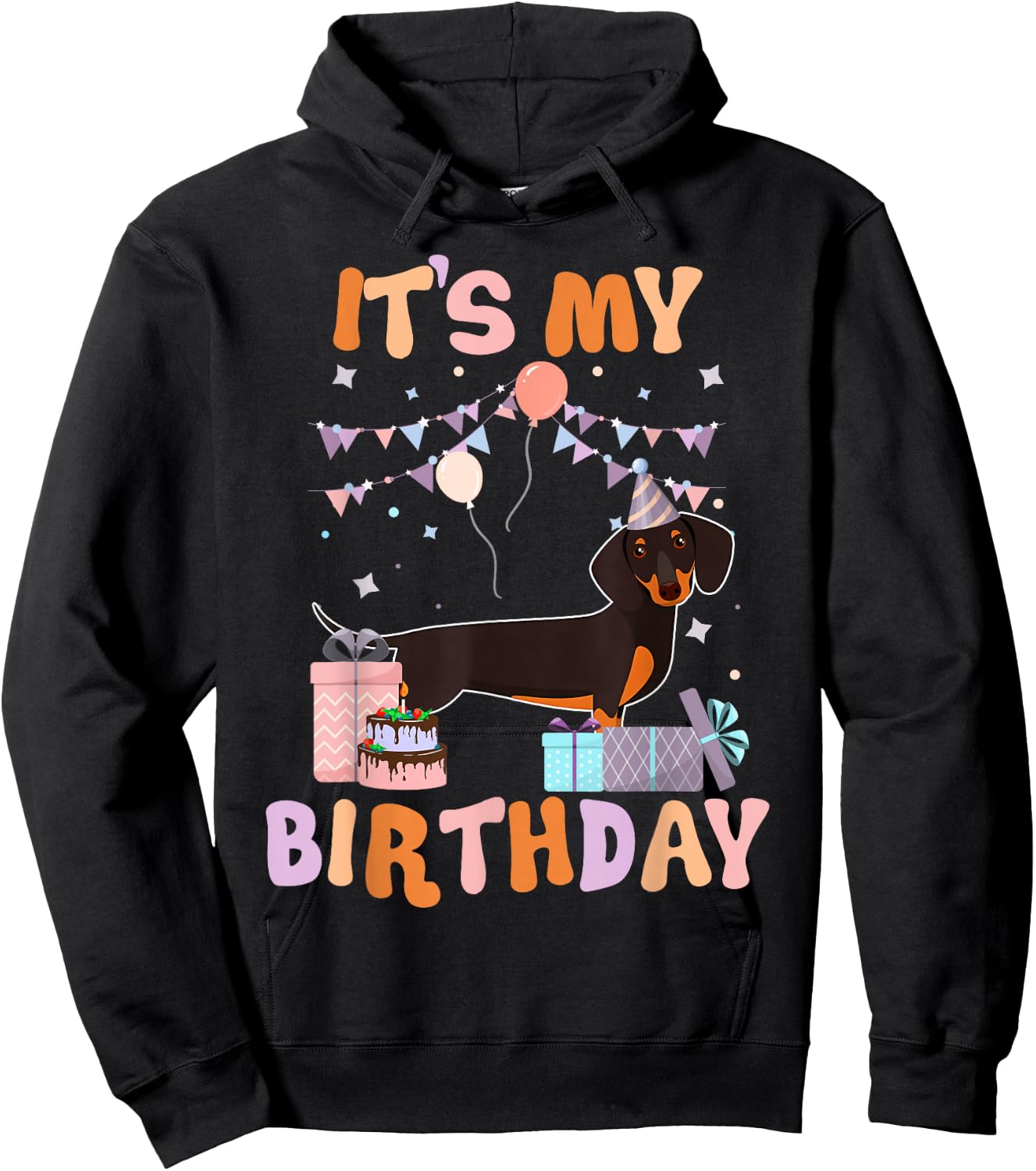 Its My Birthday Dachshund Dog Funny Birthday Party Dog Lover Hoodie - Hoodie | Black