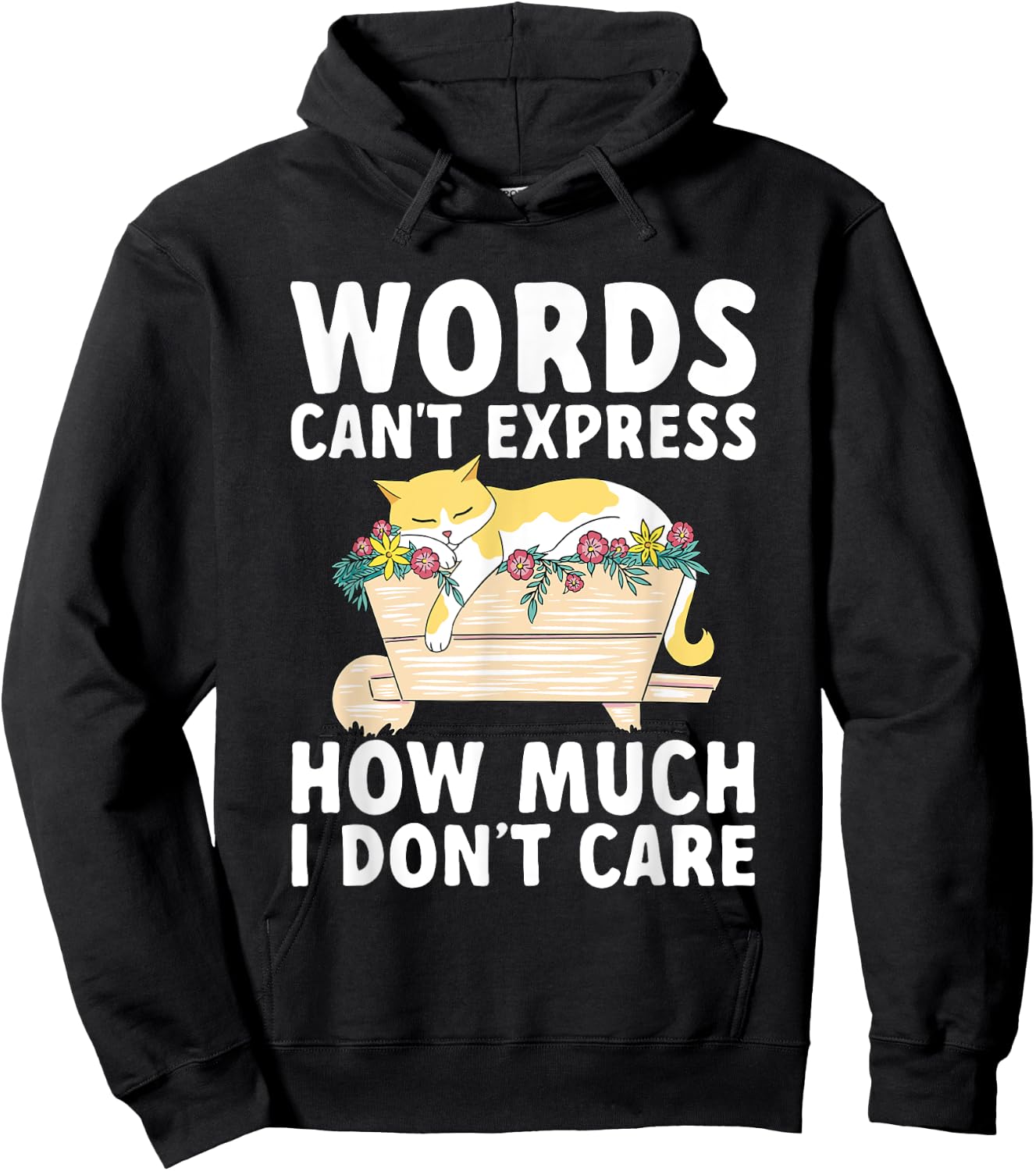 Words Can't Express How Much I Don't Care Sarcastic Cat Hoodie - Hoodie | Black