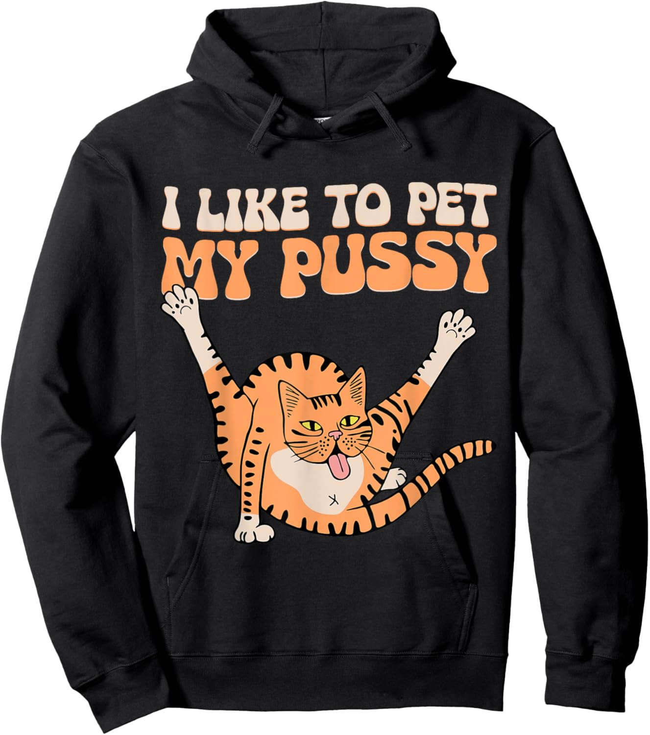 I Like To Pet My Pussy Funny Hilarious Sarcastic Cat Lovers Men Women Hoodie - Hoodie | Black