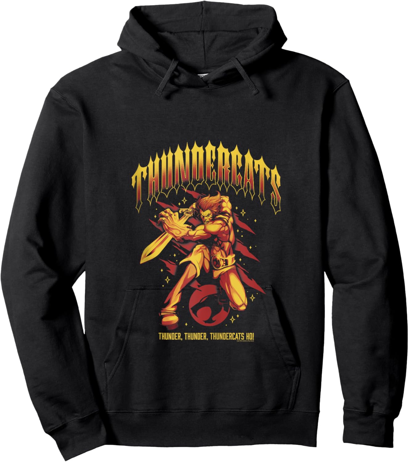 ThunderCats Thunder Thunder Thundercats Ho! Lion-O Retro Hoodie - Hoodie | Black