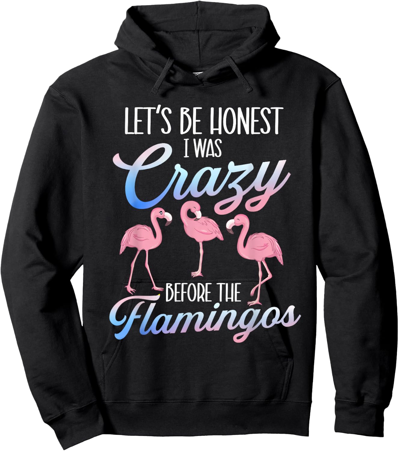 Let's Be Honest I Was Crazy Before - Flamingo Lover Hoodie - Hoodie | Black
