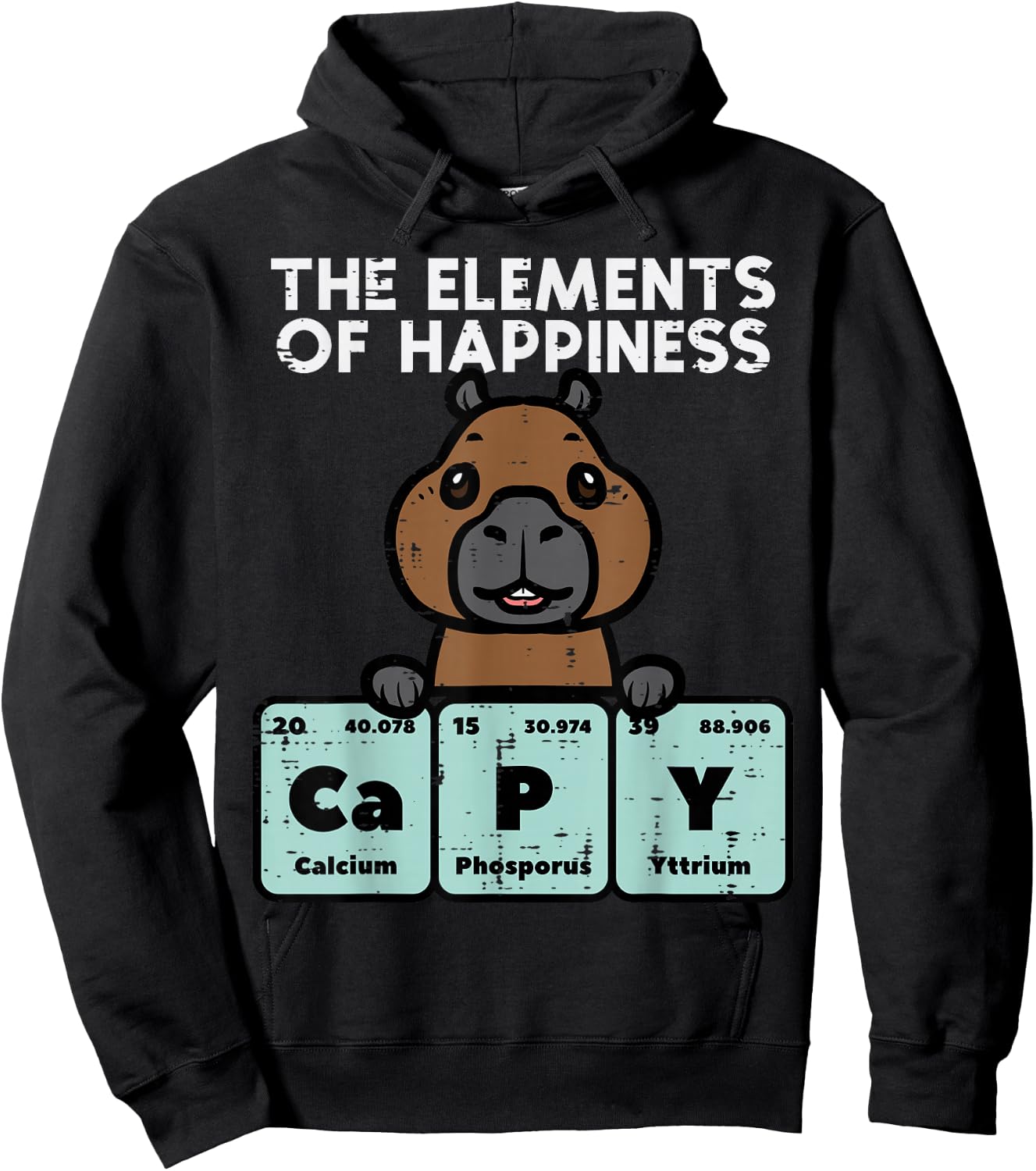 Capybara Elements of Happiness Capy Science Men Women Kids Hoodie - Hoodie | Black