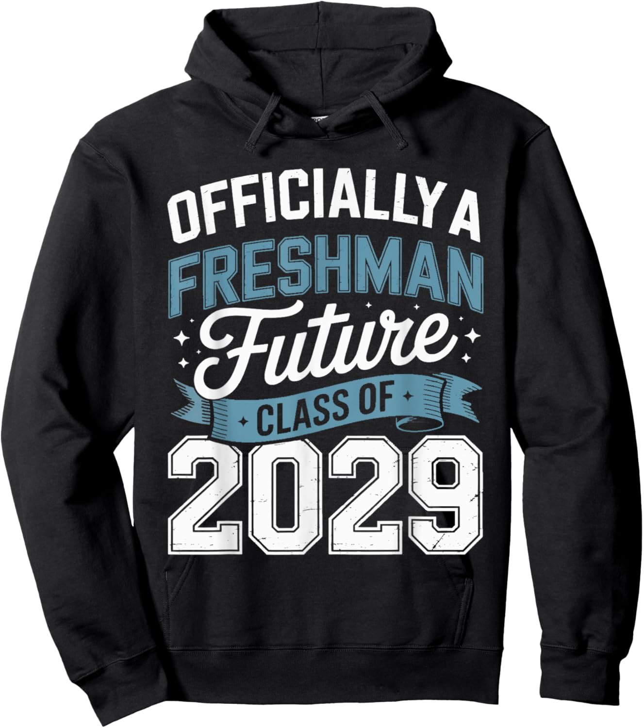 Official Freshman Future Class 2029 First Day Of 9th Grade Hoodie - Hoodie | Black