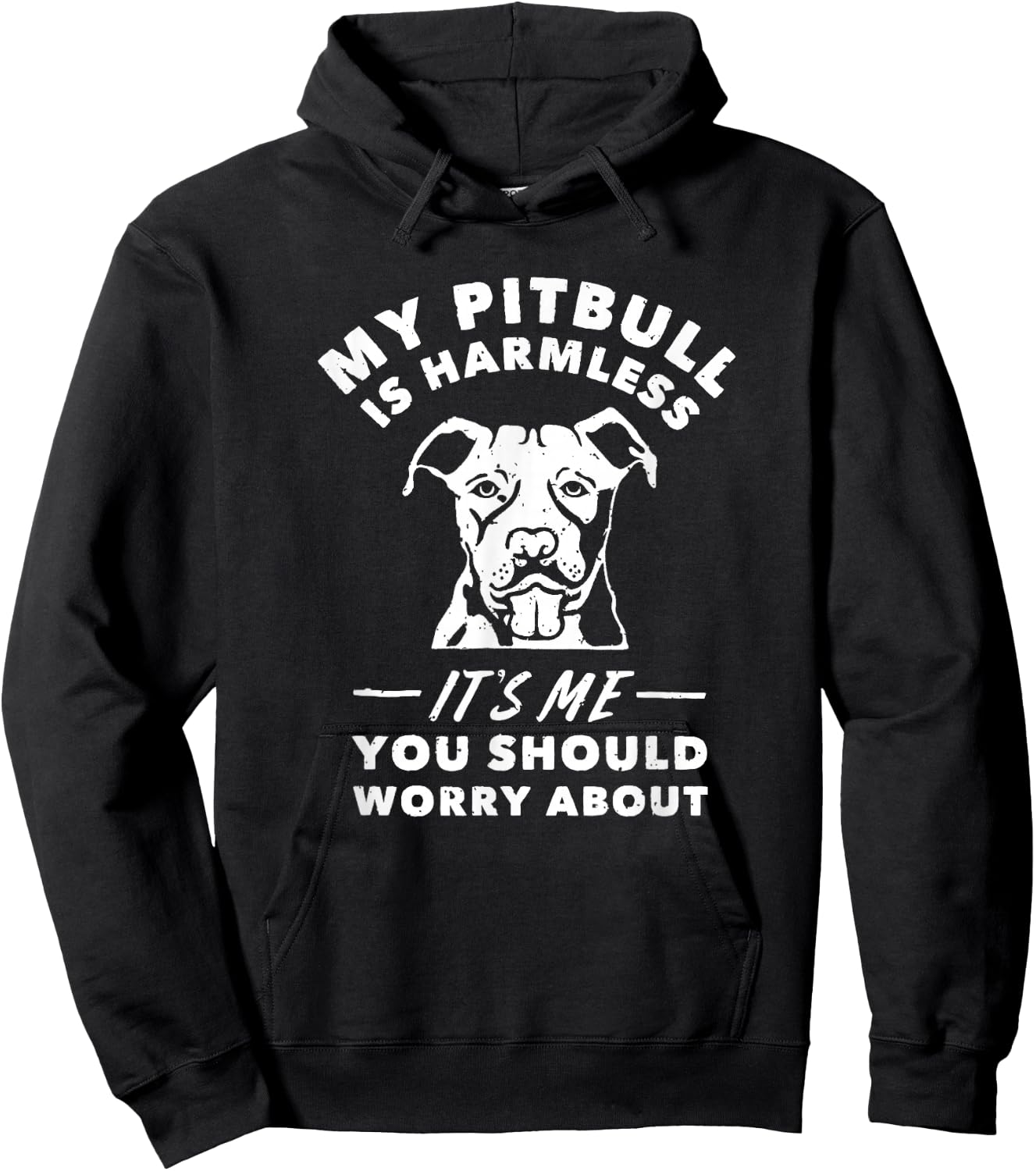 My Pitbull Is Harmless It's Me You Should Worry About Shirt Hoodie - Hoodie | Black