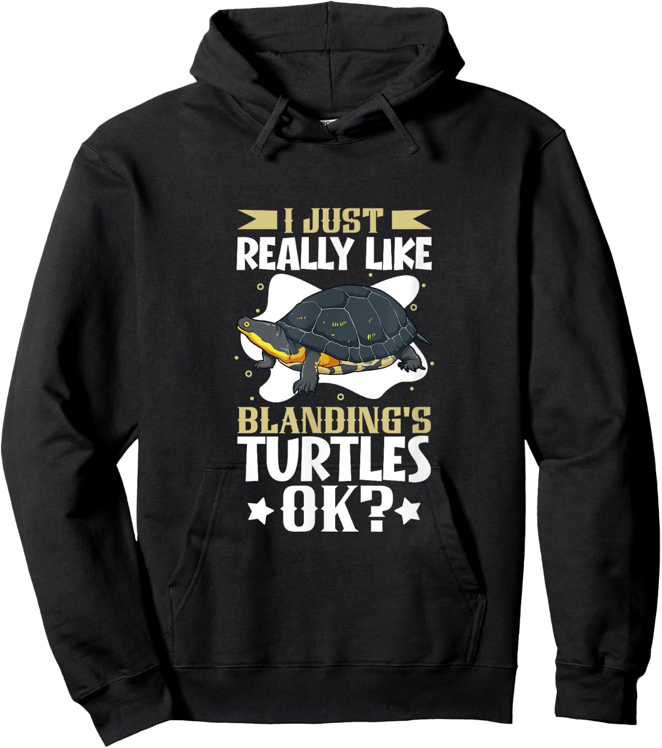 I just really like my Blanding's Turtle Hoodie - Hoodie | Black