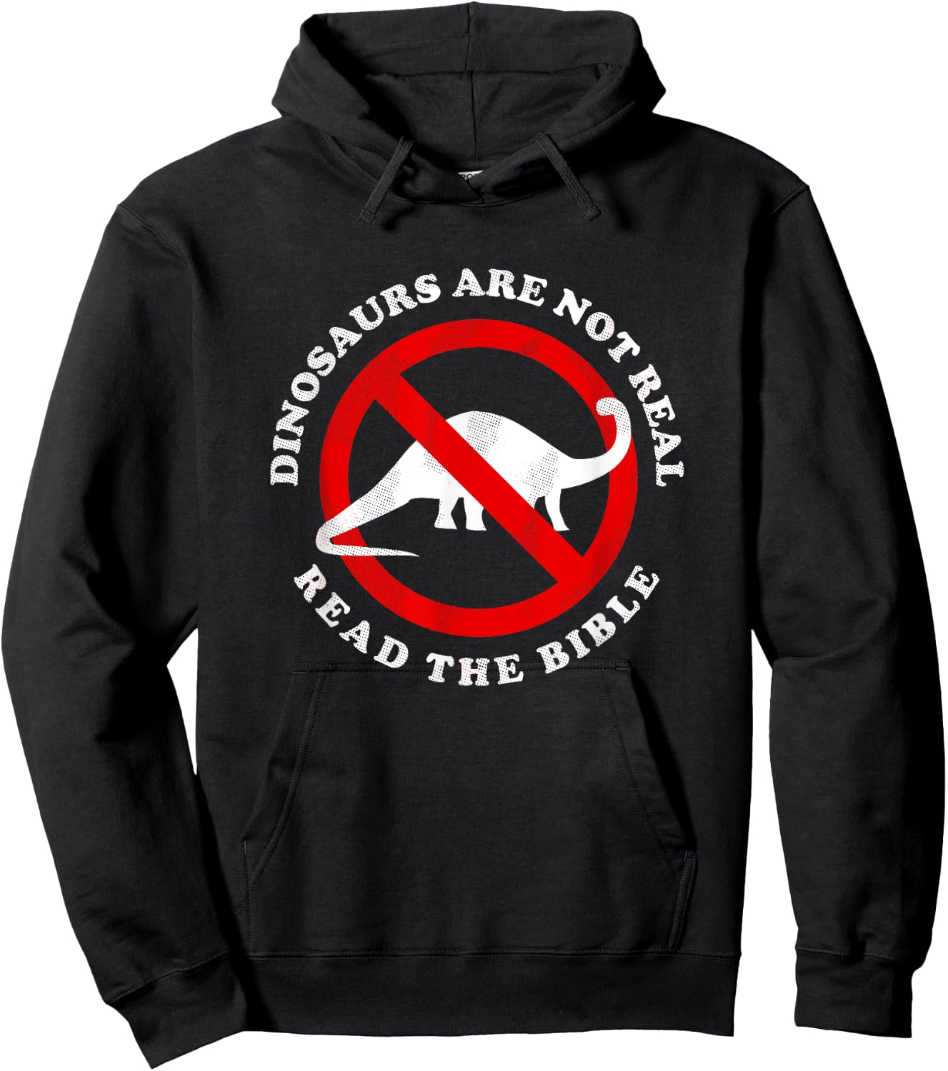 Dinosaurs Are Not Real Read The Bible - Funny Meme Hoodie - Hoodie | Black