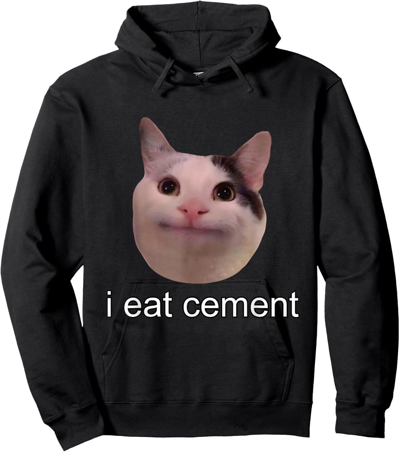 I Eat Cement Cursed Cat Funny Oddly Specific Meme Hoodie - Hoodie | Black