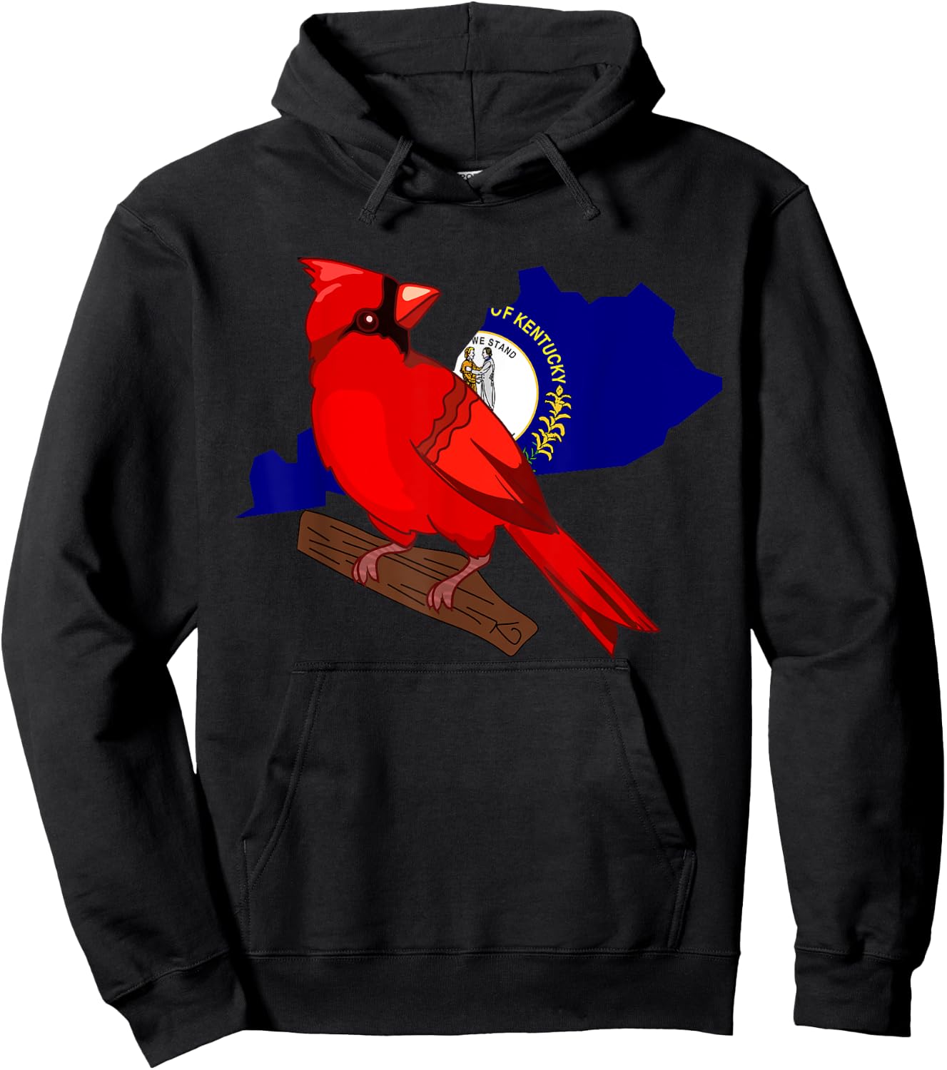 Kentucky Cardinal Bird State Symbols Pride Hoodie - Hoodie | Black