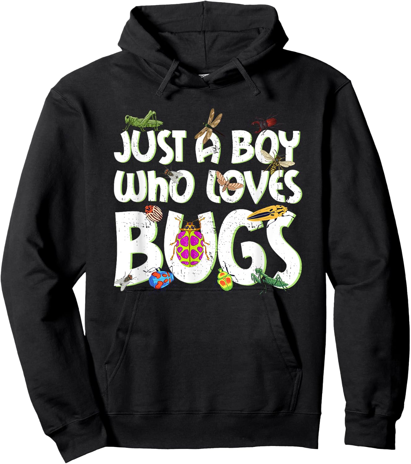 Just A Boy Who Loves Bugs Funny Kids Boys Hoodie - Hoodie | Black